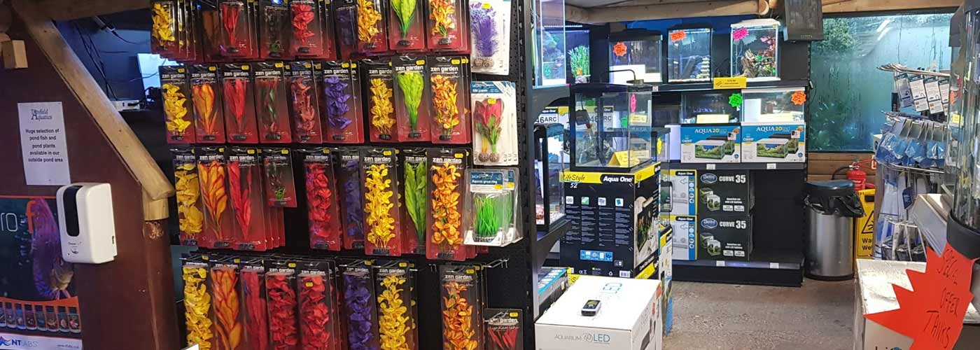 Fish tanks and plastic plants
